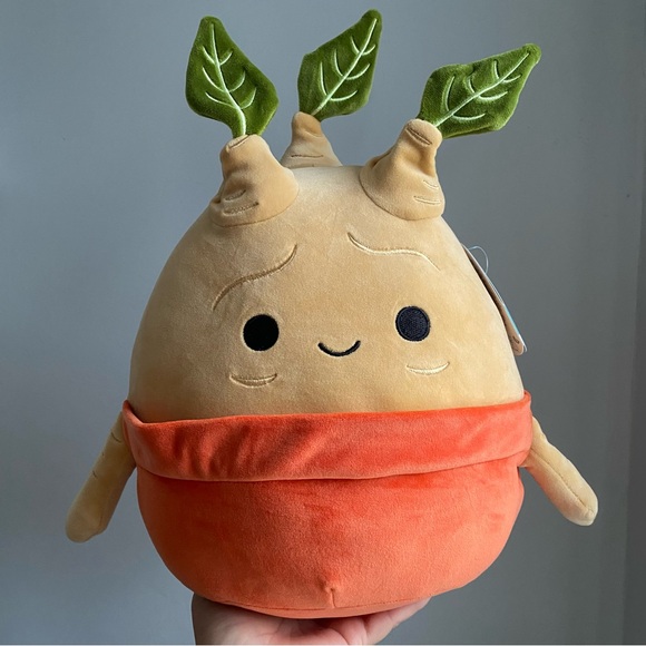 Mandrake 10” Harry Potter Squishmallows 2024 - Picture 1 of 6
